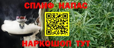 скорость Бийск