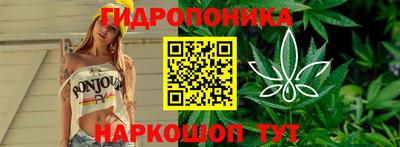 скорость Бийск