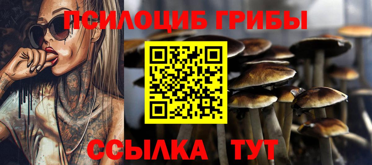 Псилоцибиновые грибы ЛСД Вышний Волочёк