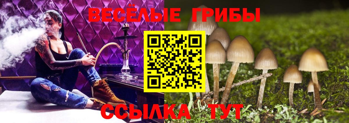 Вышний Волочёк  Галлюциногенные грибы мицелий  Вход с VPN 